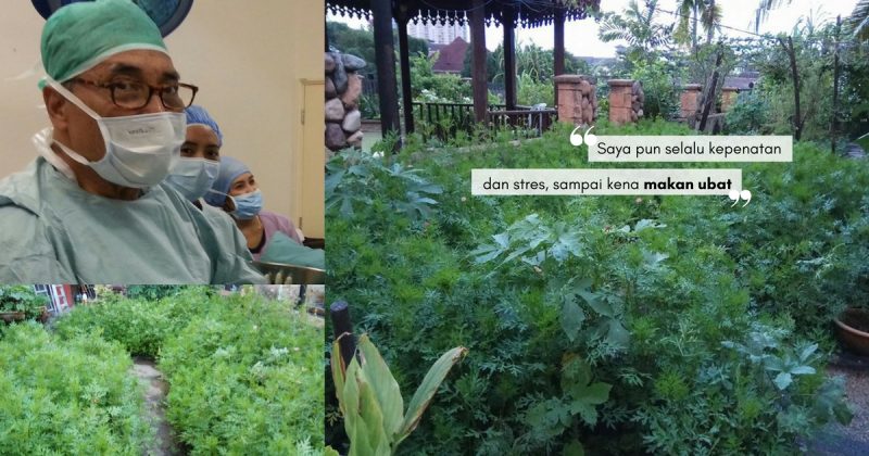 Rahsia Kawal Darah Tinggi, Laman Rumah Dato' Dr. Hamid 